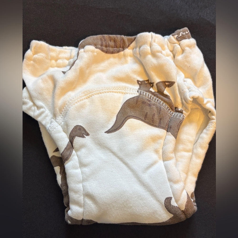 Kids Dinosaur Print Diaper reusable size 3T